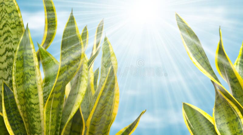 Plants background. stock image. Image of bright, green - 1883937