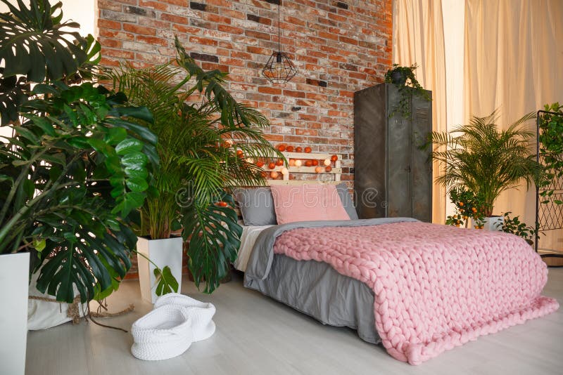 Plants in bedroom stock image. Image of king, cotton 90502131