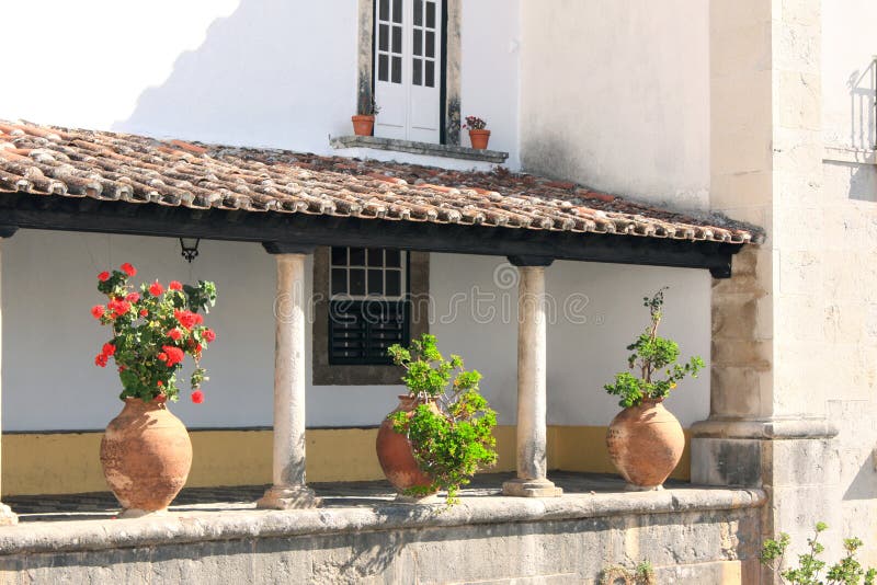 Plants in clay jugs on terrace, Obidos, Portugal