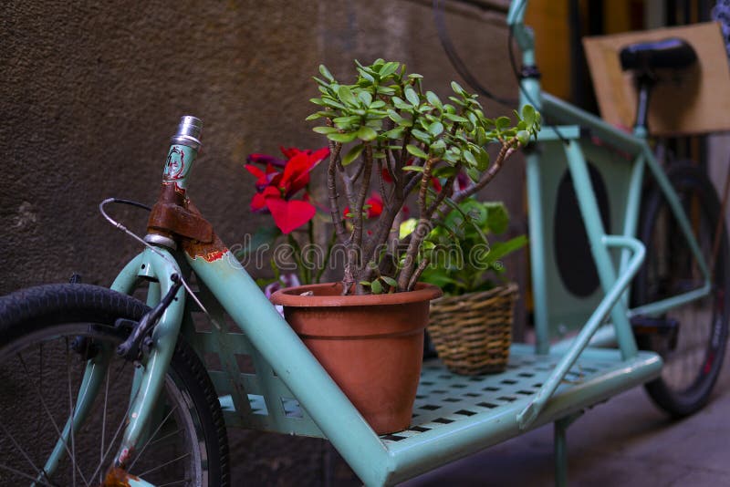 Plants and flowers on a blue abandoned bicycle royalty free stock images Plants and flowers on a blue abandoned bicycle royalty free stock images