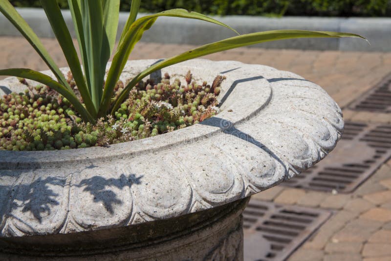 Plants for Gardening with Soft Focus Stock Photo Image of plants