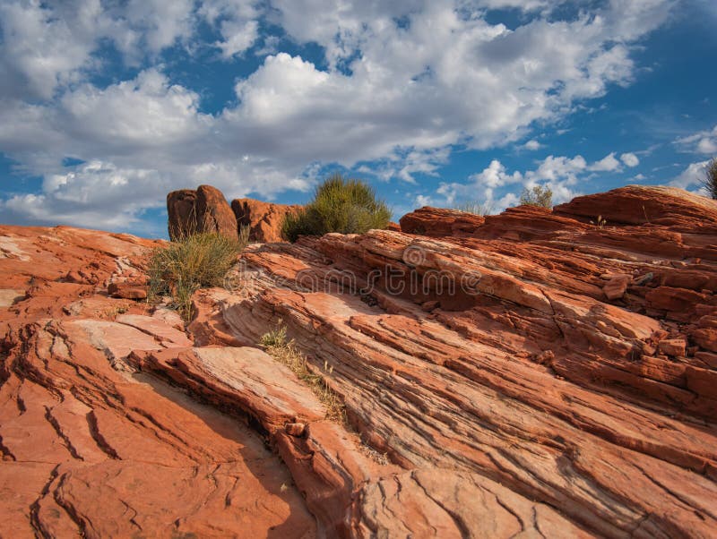 Plants grow on the colorful layers of rock royalty free stock photography