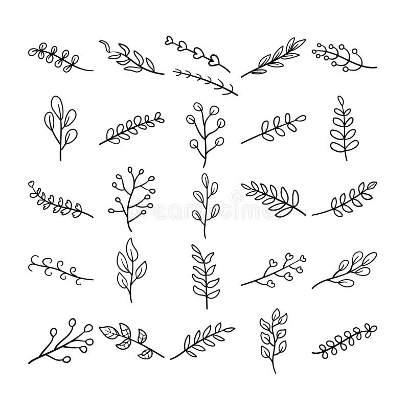 Plants Hand Drawn Doodle Line Art Outline Set Stock Vector ...