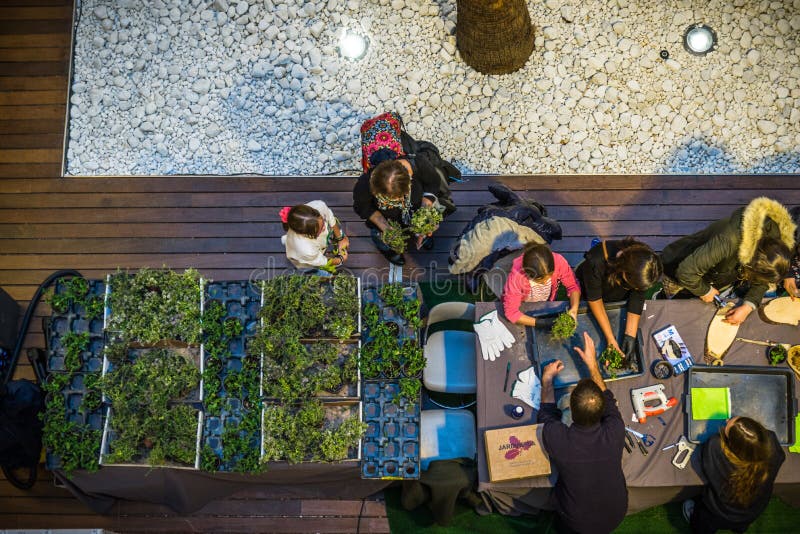 Plants editorial photography. Image of flora, purchases 80485377