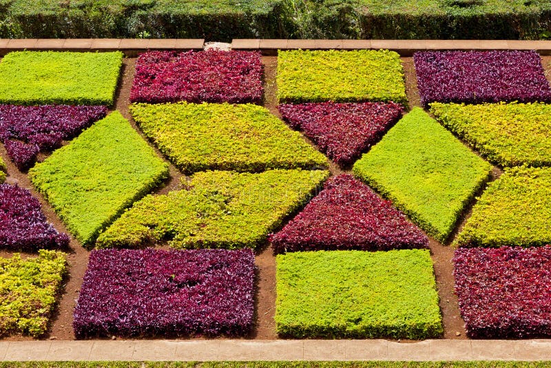 Tropical Botanical Garden In Funchal Madeira Portugal Stock