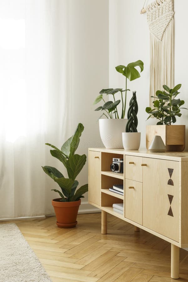 Plants on Wooden Cupboard in Bright Living Room Interior with Wi Stock ...