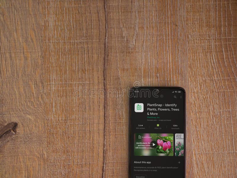 Plantsnap App Play Store Page On The Display Of A Black Mobile Smartphone On Wooden Background Editorial Stock Photo Image Of Illustrative Mobile 192452543