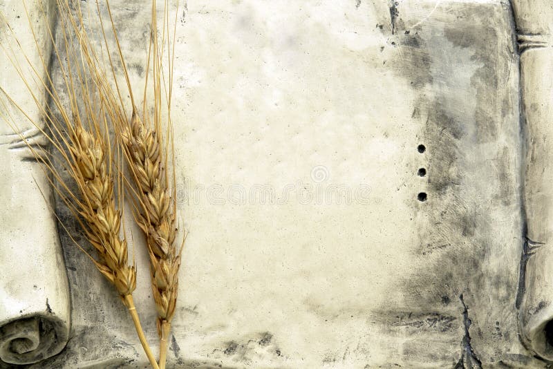 Cereals Set Isolated On White Background Oats Rye Wheat Barley In 2020 Barley How To Draw Hands Wheat