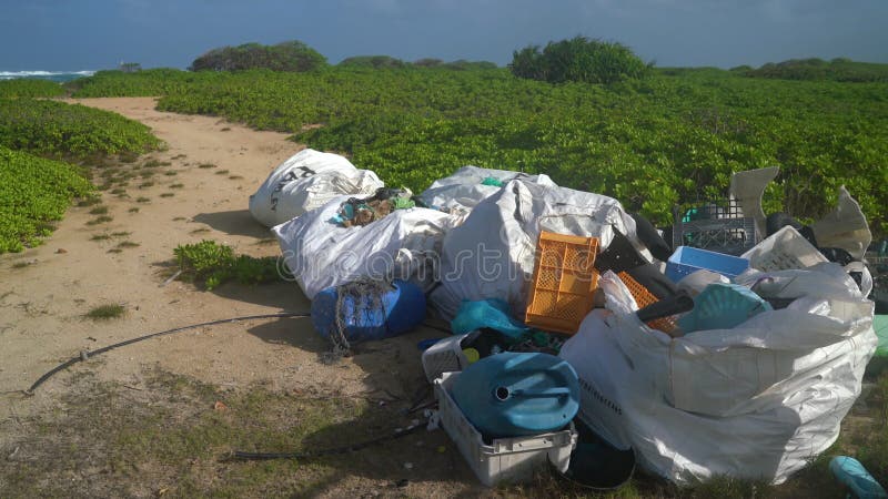 Plaster och avfall i havet som tvättas i land och samlas upp på avfallssäckar på stranden. från stor nordstrand hawaii