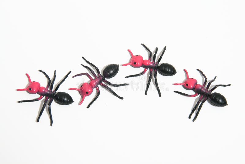 Plastic ants stock image. Image of colony, insect, nest 5920333