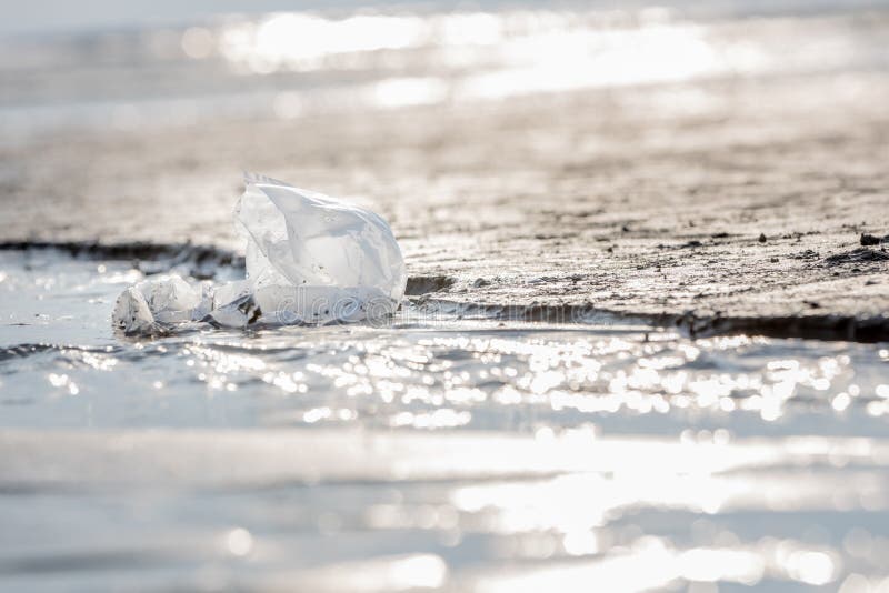 Plastic bag at the beach stock photo. Image of problem 217843728