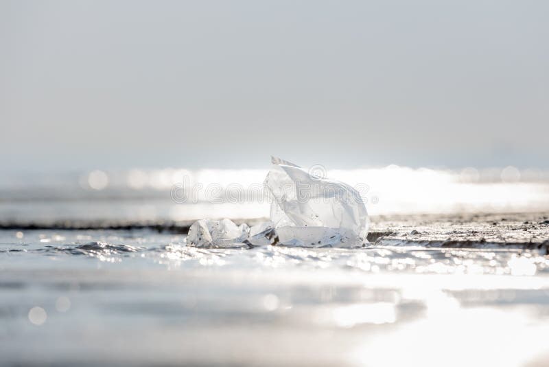 Plastic bag at the beach stock image. Image of environment 217843733