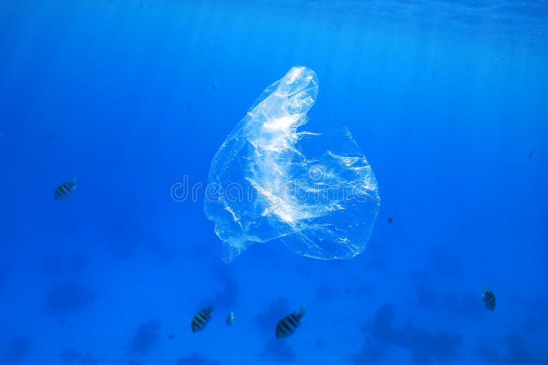 Plastic bag in the ocean stock photo. Image of pacific 169163432