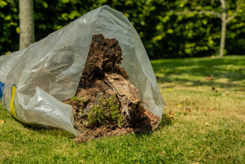 A Plastic Bag of Garden Waste Including Tree Bark and Vegetation, Lying on  Grass Stock Image - Image of bark, lawn: 240125019