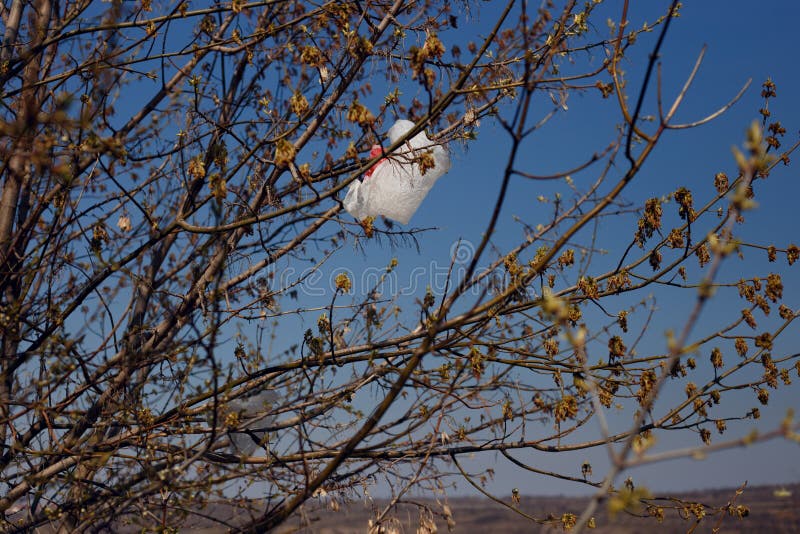 Plastic Trash Bag Caught Tree Stock Photo 1007497297