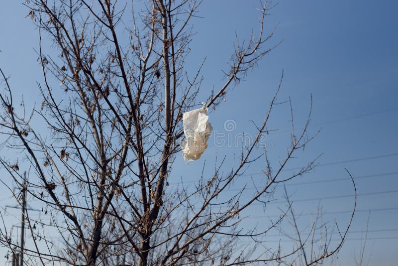 Plastic Trash Bag Caught Tree Stock Photo 1007497297