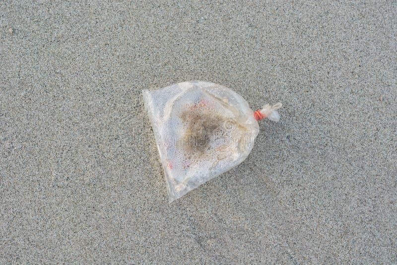 Plastic Bag on the Sand As a Waste Stock Image Image of ocean, trash 101530761