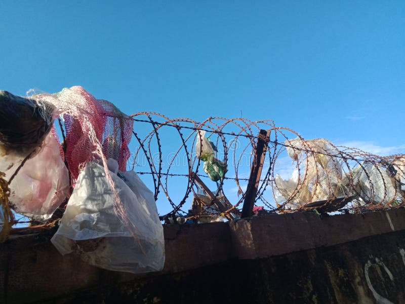 Plastic Bag Stuck In Tree On Side Of Road Stock Photo Image of