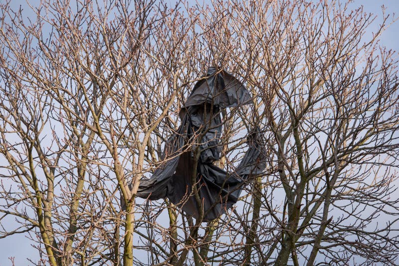 Plastic Bag On Tree Branches Stock Image Image of ecological