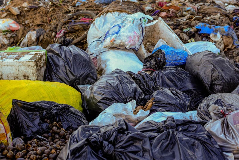 Plastic Bags in the Garbage. Stock Image Image of india, global