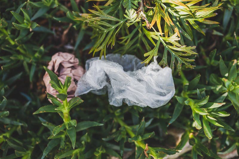 Plastic Bags and Litter Abandoned in Nature among Beautiful Plants
