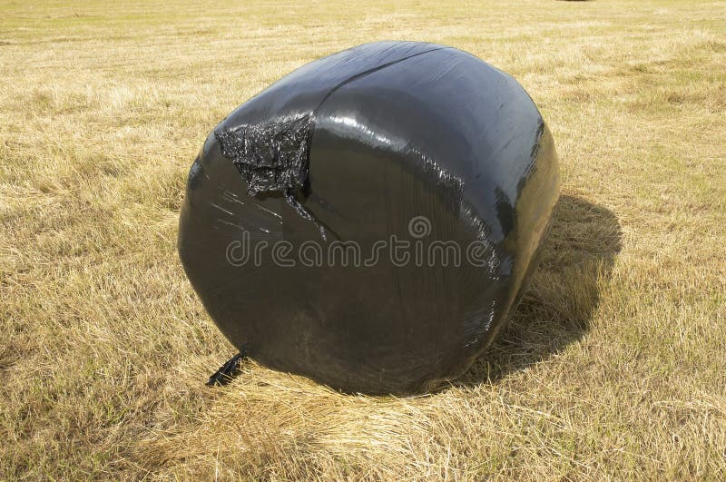 Plastic bale