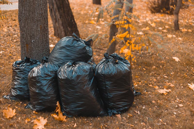 Lots of big black garbage bags for cleaning the autumn leaves on the street  in the park Stock Photo