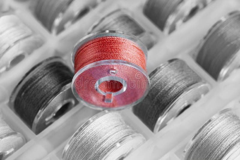 Plastic Bobbins for Sewing Machine Black and White Stock Photo Image