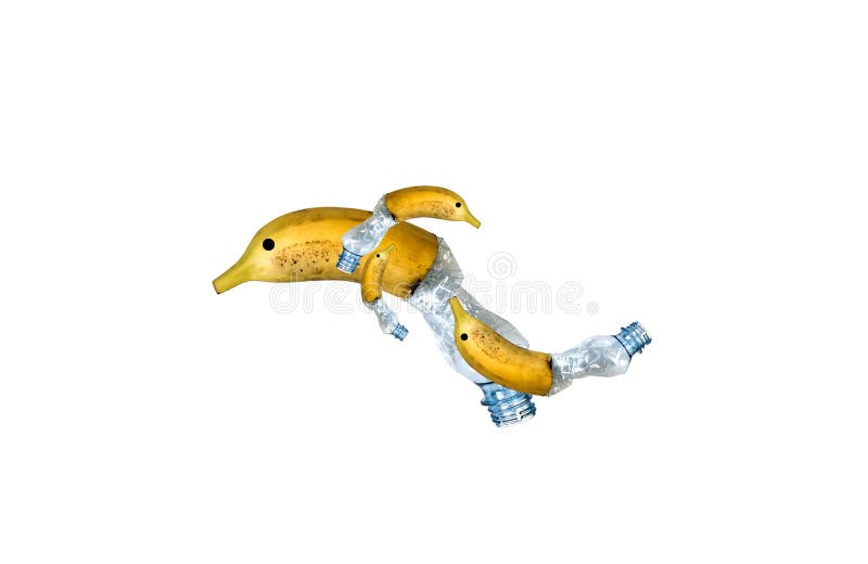 Plastic Bottle and Banana Dolphin Isolated on White Background. Animals Eating Polluted Food. Environmental Issue Stock Image - Image of isolated, ecological: 190785051 Plastic Bottle and Banana Dolphin Isolated on White Background. Animals Eating Polluted Food. Environmental Issue Stock Image - Image of isolated, ecological: 190785051