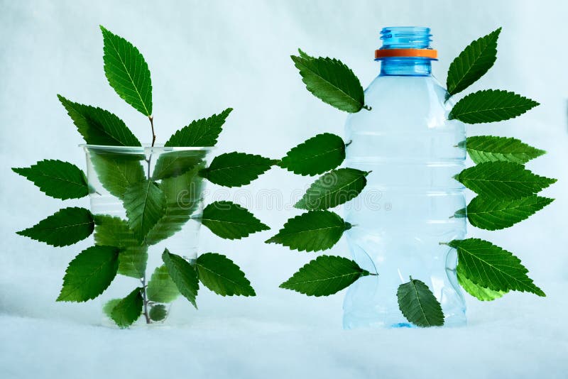 A plastic bottle and a plastic Cup with green foliage sprouted through them as a symbol of opposition of environmentally friendly