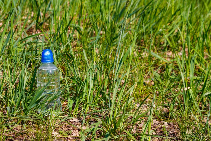 Plastic Bottle with Fresh Drinking Water in Green Grass on Meadow Stock ...