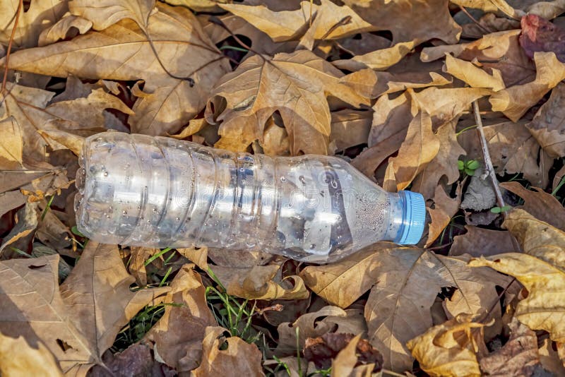 Plastic Bottles in Nature and Environmental Pollution Stock Photo