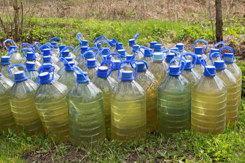 Plastic Bottles with Water for Watering Plants. Stock Image Image of
