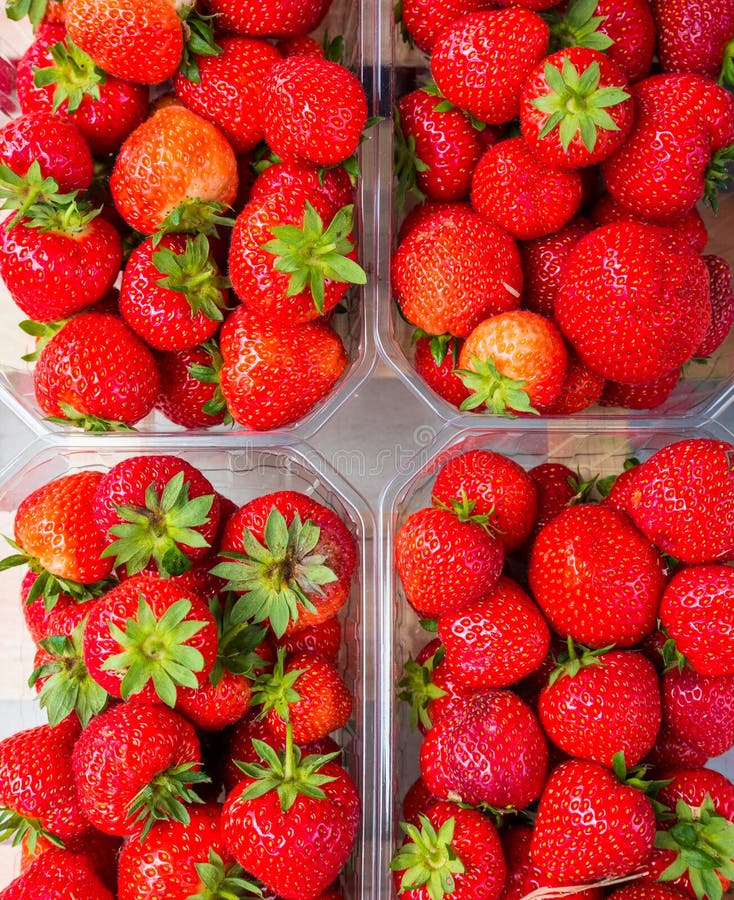 Plastic Box Package of Red Fresh Strawberries Stock Image Image of