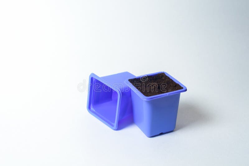 110 Planting Tree Seed Container Stock Photos Free & RoyaltyFree