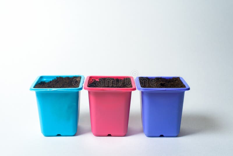 Plastic Containers for Planting Seeds on Seedlings. Pots of Different