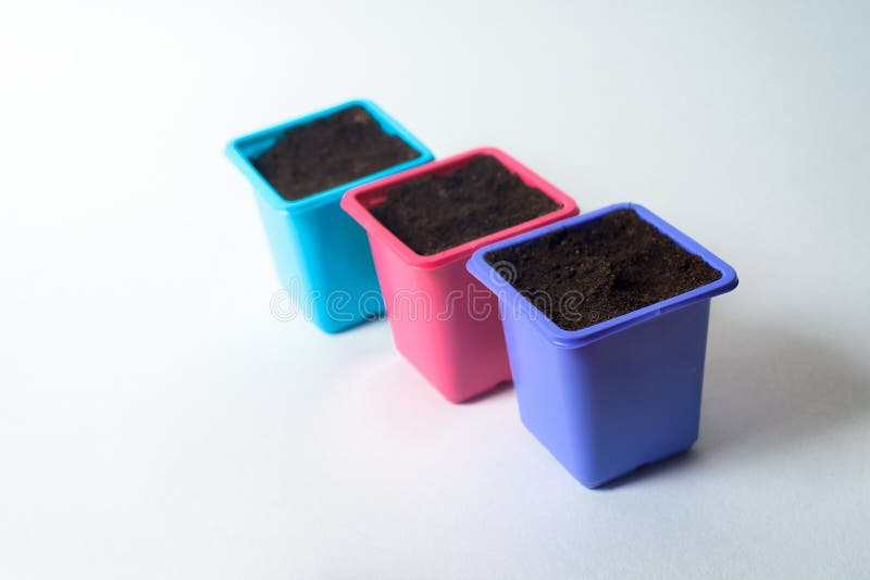 Plastic Containers for Planting Seeds on Seedlings. Pots of Different