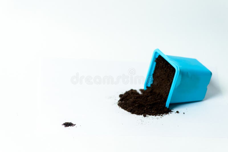 110 Planting Tree Seed Container Stock Photos Free & RoyaltyFree