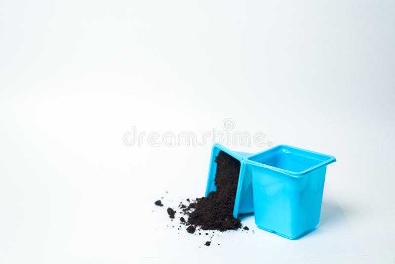 110 Planting Tree Seed Container Stock Photos Free & RoyaltyFree