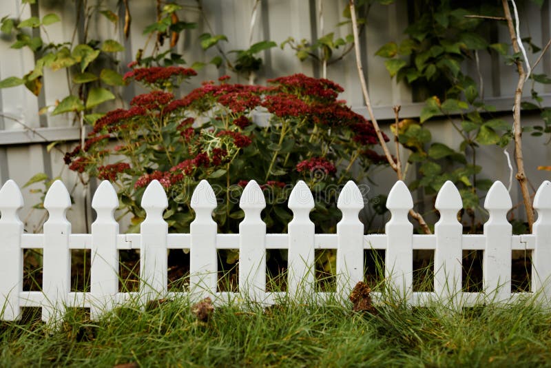 Plastic Decorative Small Fence for a Flower Bed on a Personal Plot