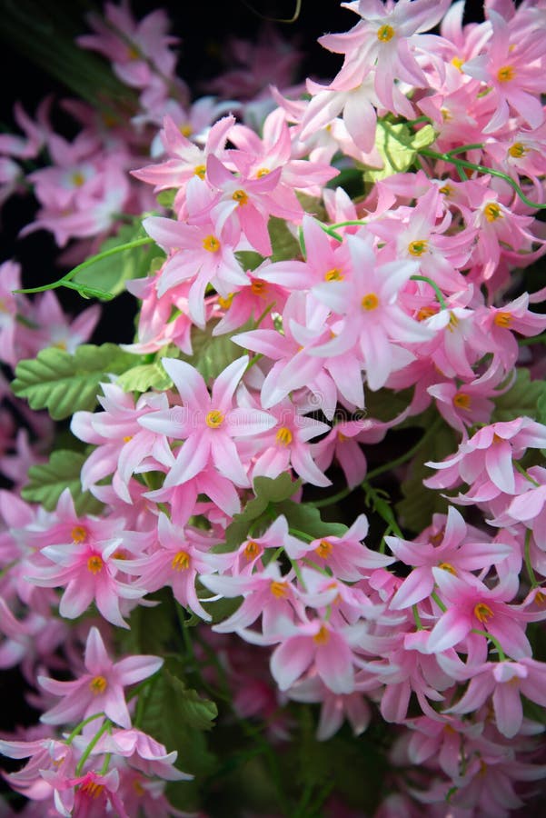 Plastic flower stock image. Image of gardening, fake 197886853