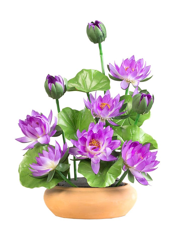 Plastic flowers stock image. Image of flora, bouquet 44732927