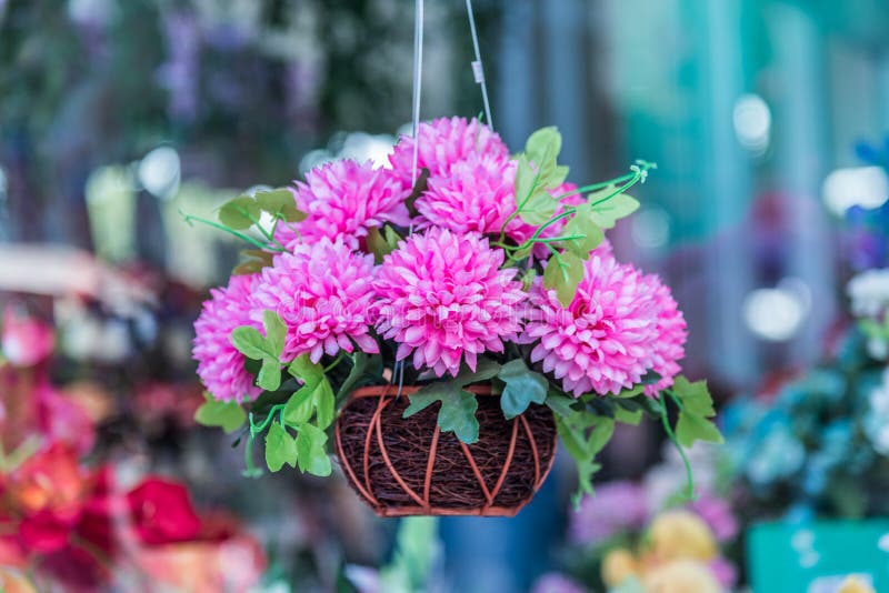 Plastic Flowers in the Gardens. Stock Image Image of color, design
