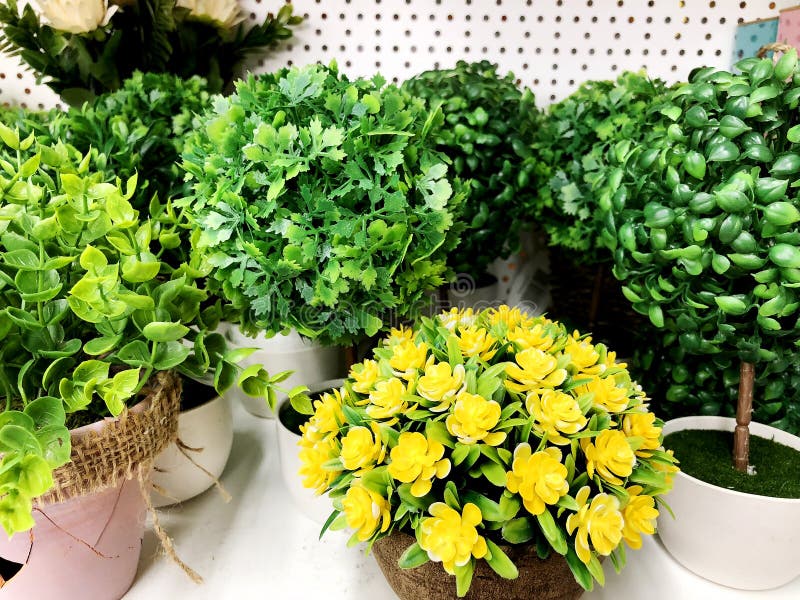 Plastic Green Flowers in a Pot As Decor for Design. Floristics. Stock Image Image of plastic