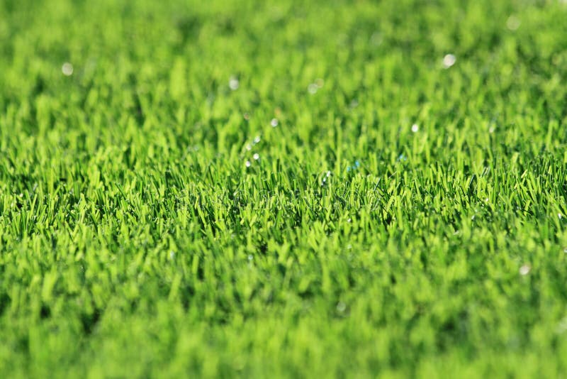 Plastic Green Grass Background Stock Image Image of outdoor, floor