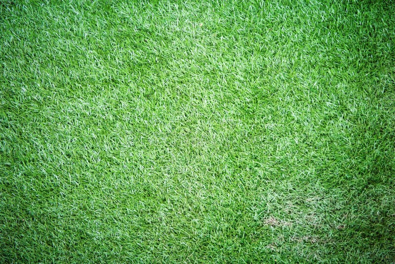 Plastic Green Grass Texture Stock Photo Image of simplicity, turf