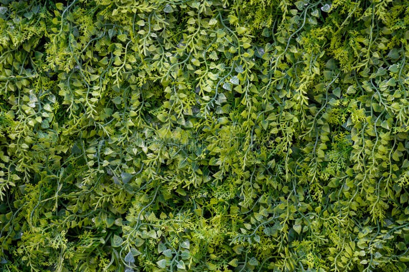 a-plastic-green-leaf-pattern-background-stock-photo-image-of-pattern