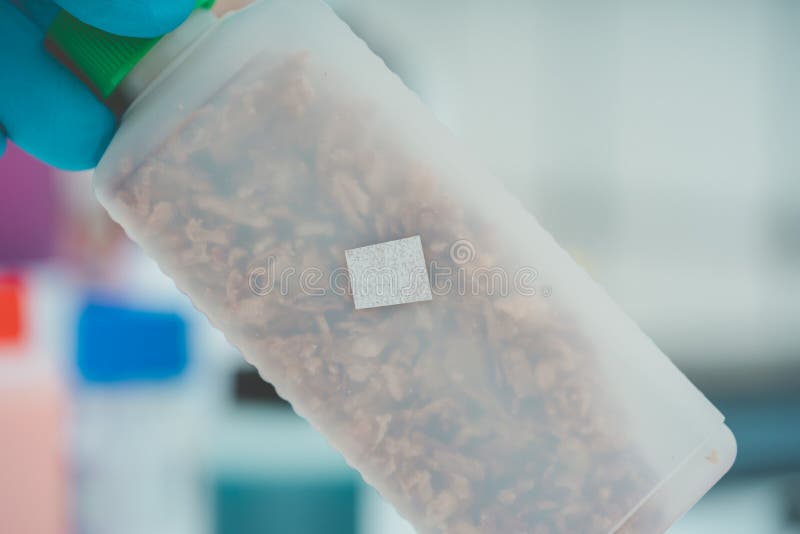 Plastic Jars of Freezedried Food Stock Photo Image of ingredient