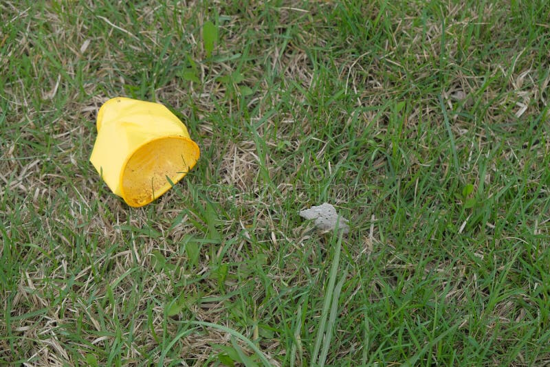 Litter on grass stock photo. Image of environment, empty 24068144
