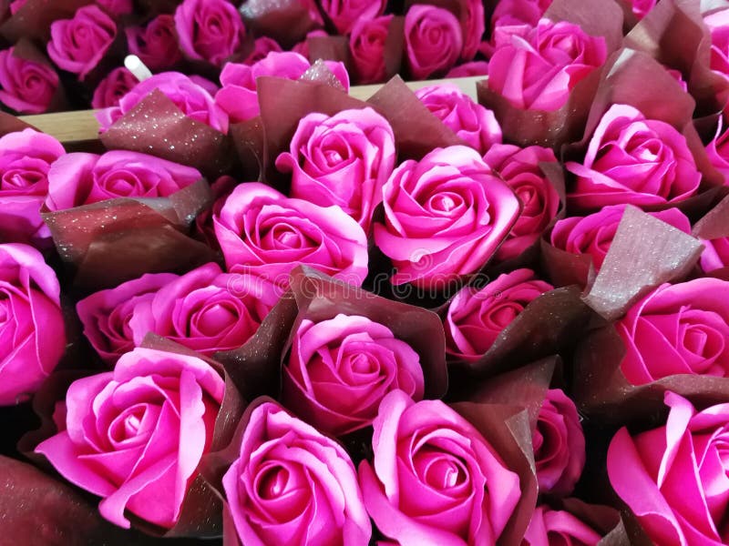 238 Bunches Pink Roses Photos Free & RoyaltyFree Stock Photos from